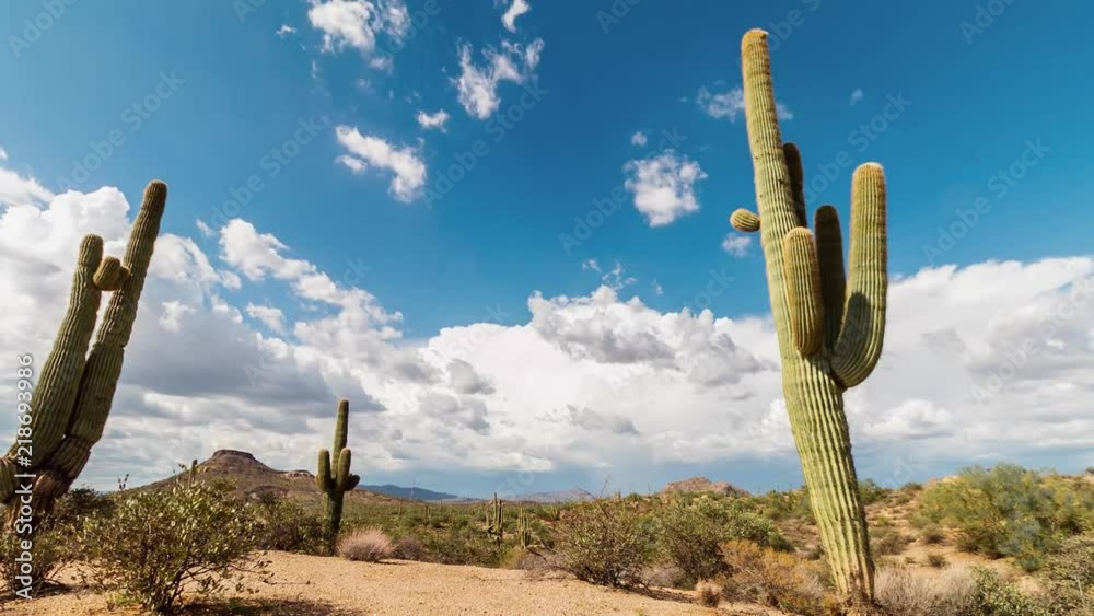 Scottsdale Arizona desert time lapse video with cactus at Browns Ranch trail