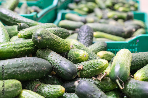 Photo of cucumbers on the counter of the store. Place for your text.