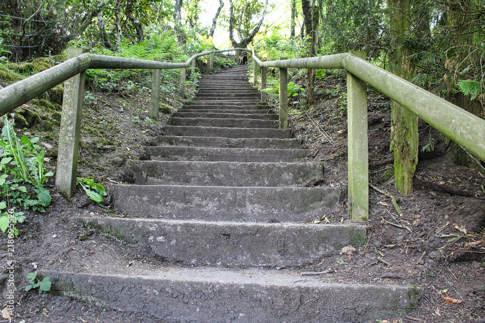Lots of steps going up stood at bottom when out hiking