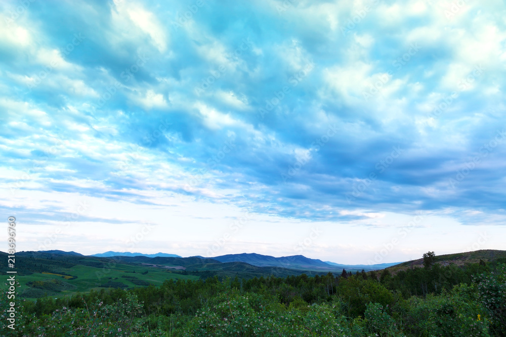 smooth forest cloudscape