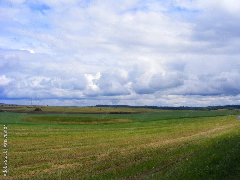 scenic landscape in Belarus