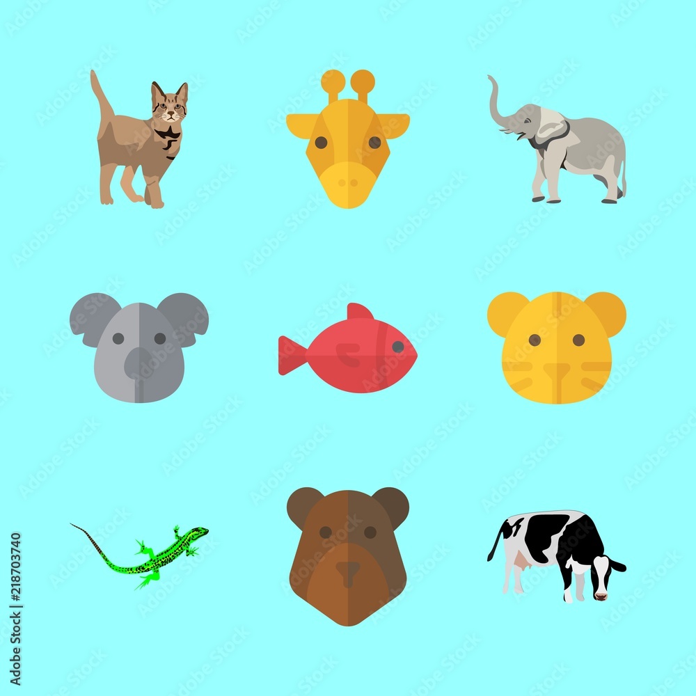 9 animal icons set