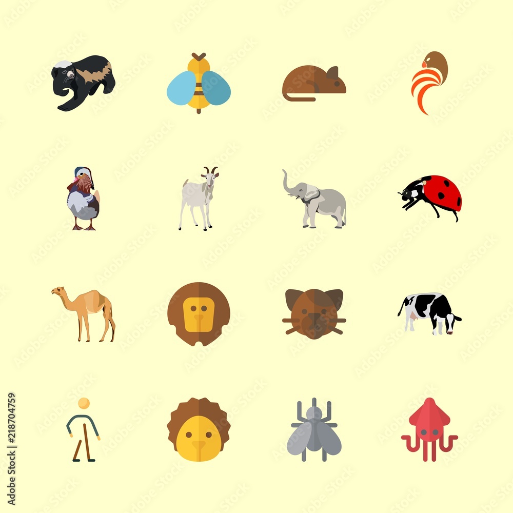 Obraz premium animal icons set. humor, kitty, parasite and whiskers graphic works