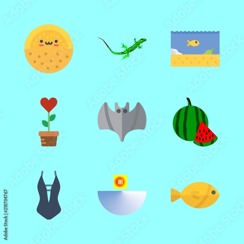 tropical icons set. oceanarium, wet, texture and australian lizard graphic works