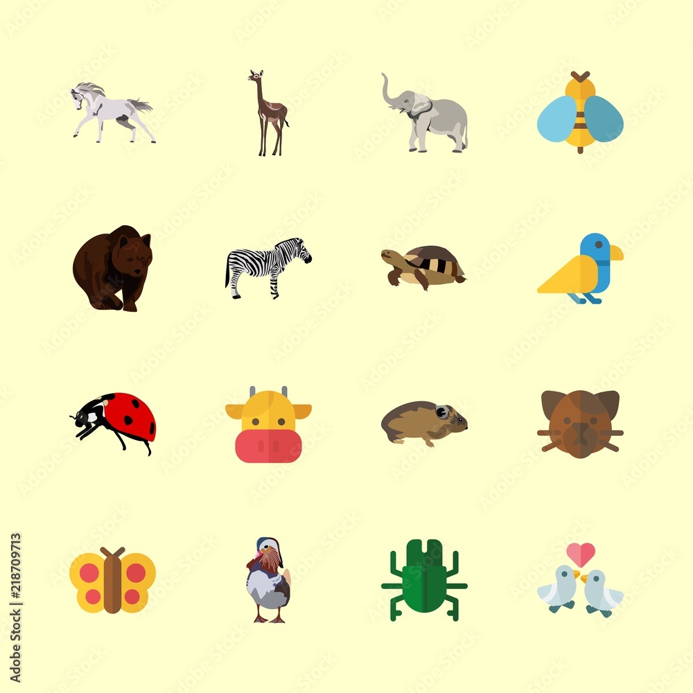 Obraz premium animal icons set. wings, beautiful, run and indian graphic works