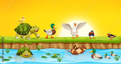 Different animals in pond scene