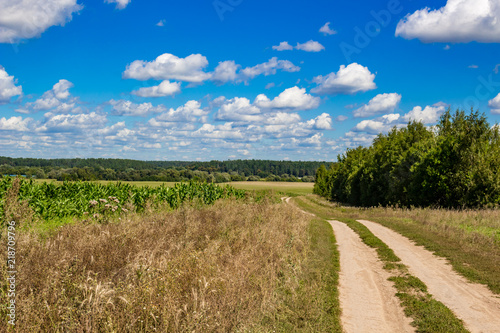 Rural dirt road along agricultural fields  against a background of blue sky. Central Russia  