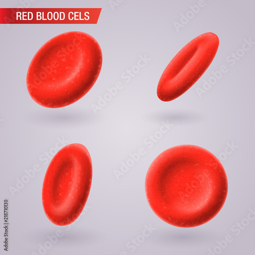 Red Blood cells microbiological medical isolated vector illustration