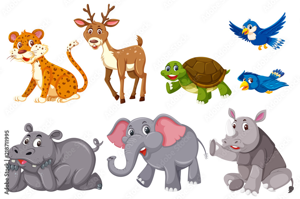 Obraz premium A set of animals on white background