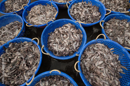 Sole fish for sale at Neendakara fishing harbour,Kollam, Kerala, India, Asian Harbour, Indian Fishing Harbour,  Fresh Fish. photo