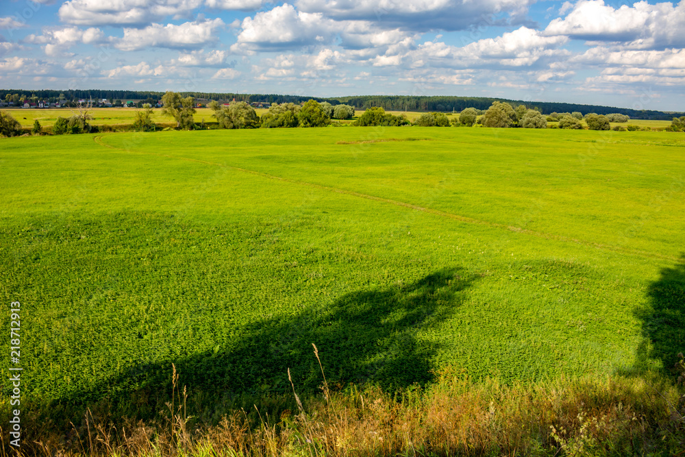 Beautiful view of a large green field on a blue sky background
