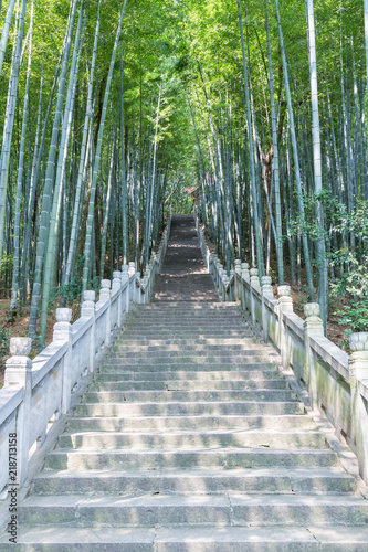 green bamboo forest and stone steps