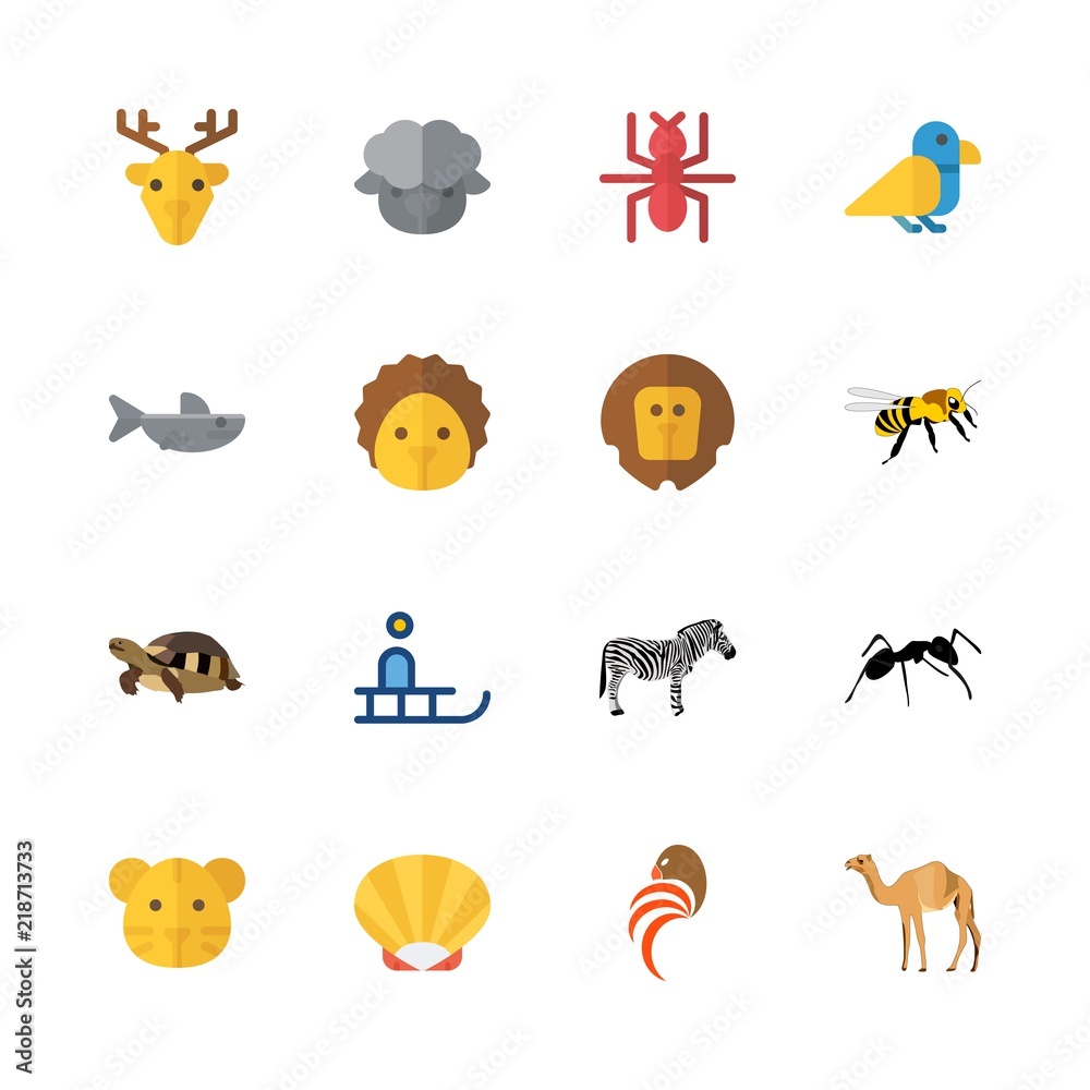 Obraz premium animal icons set. baby, roaring, bag and scuba graphic works