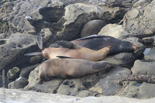 La Jolla