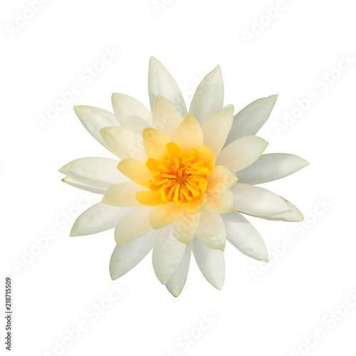 lotus flower isolated on white background., This has clipping path.