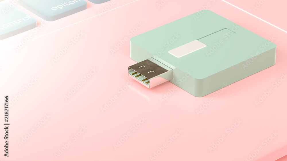 Fototapeta premium USB flash drive on laptop