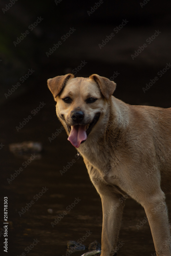 Fototapeta premium Urbex