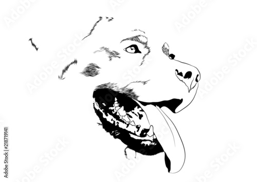 dog rottweiler open mouth tongueout