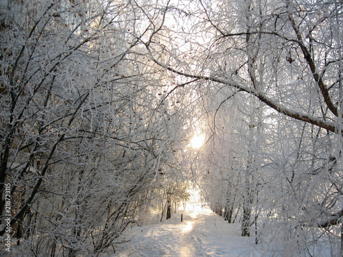 frost
