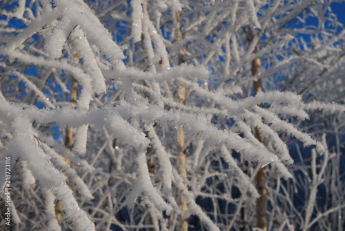 frost
