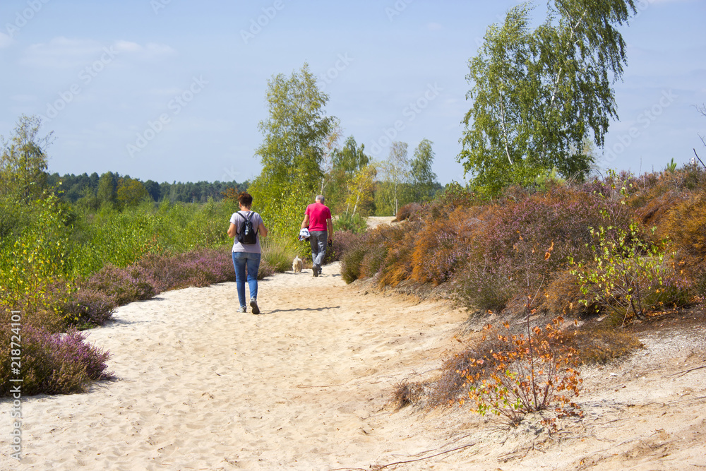 Heathland in National Park Maasduinen in the Netherlands - couple with their dog