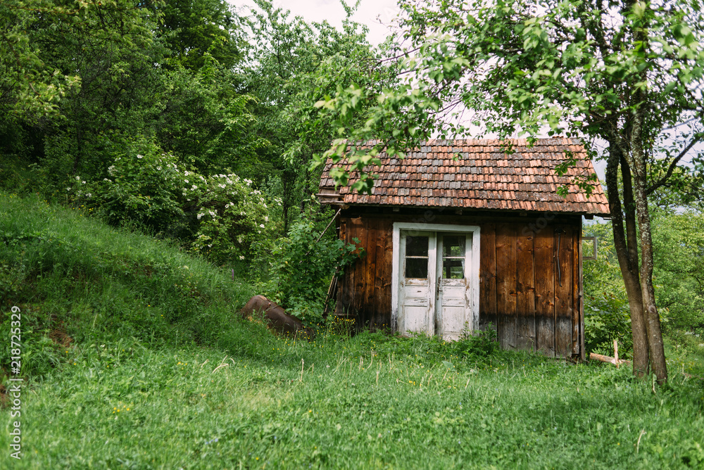 House in the village House in the village