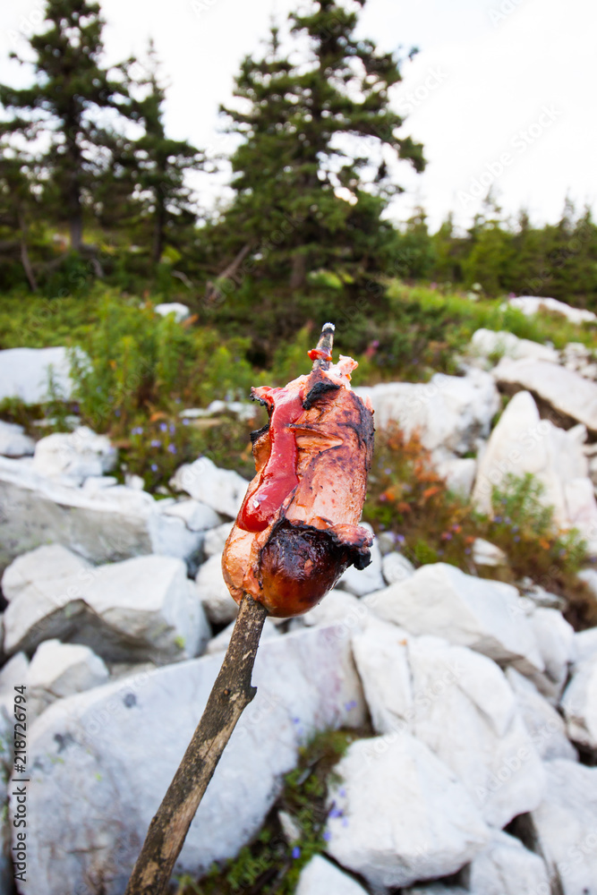 sausage on a stick. Food in the wild sausage on a stick. Food in the wild