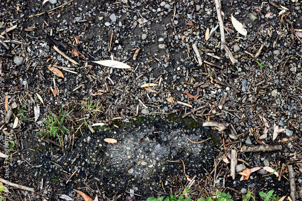 soil and stones texture soil and stones texture