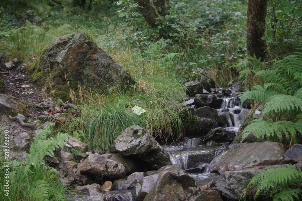 forest and waterfalls brecon