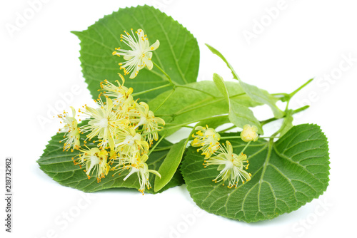 Linden blossom
