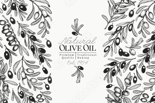 Olive tree banner template. Vector vintage illustration. Hand drawn engraved style background. Design for olive oil, olive packaging, natural cosmetics, health care products. Retro style image.
