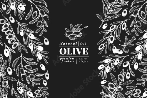 Olive tree banner template. Vector vintage illustration. Hand drawn engraved style background. Design for olive oil, olive packaging, natural cosmetics, health care products. Retro style image.