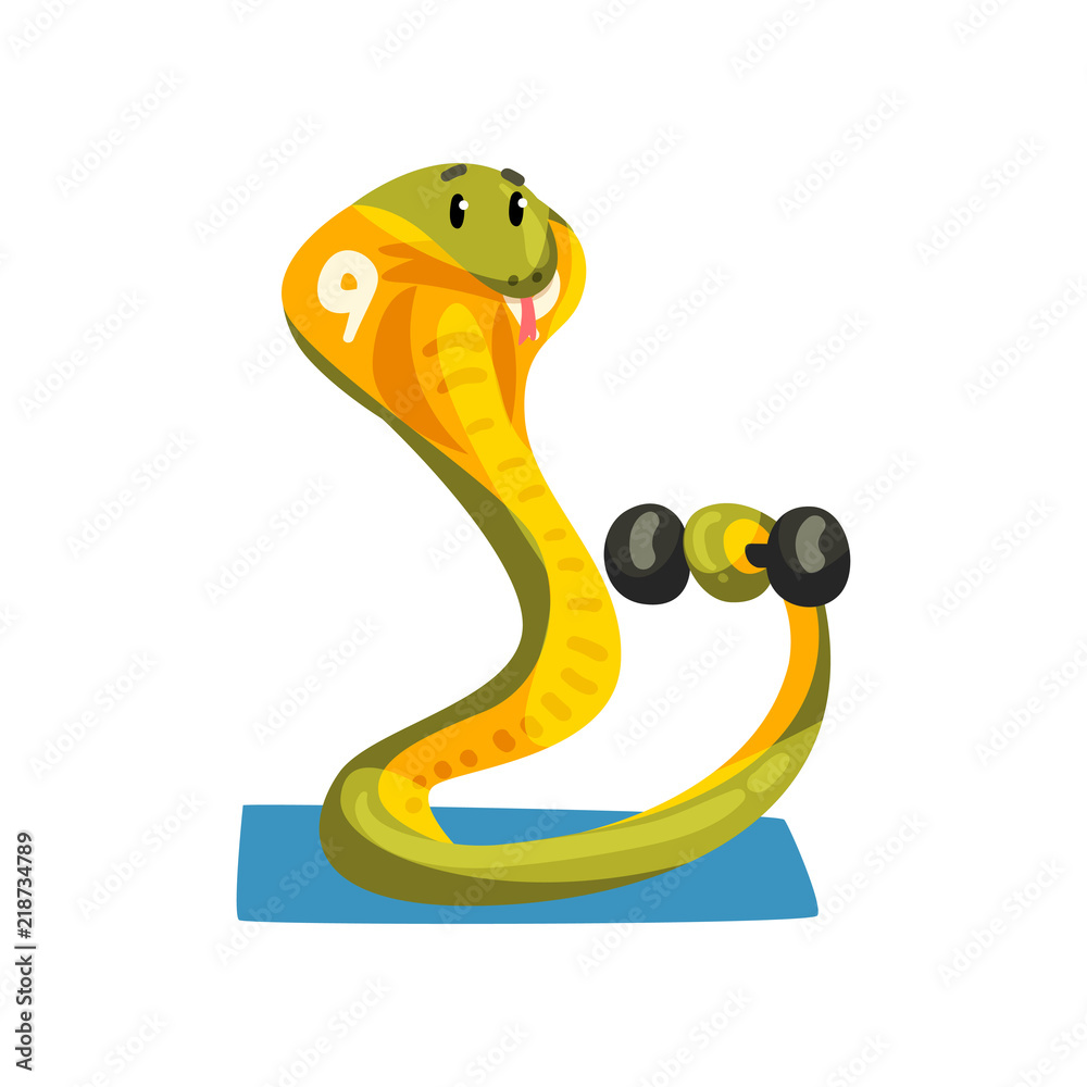 Fototapeta premium Cute snake exercising with dumbbell, sportive animal character, fitness and healthy lifestyle vector Illustrations on a white background