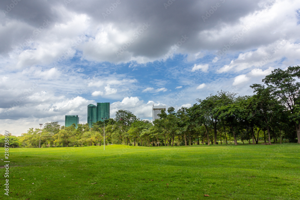 Green grass field in park with city buildings against cloudy sky