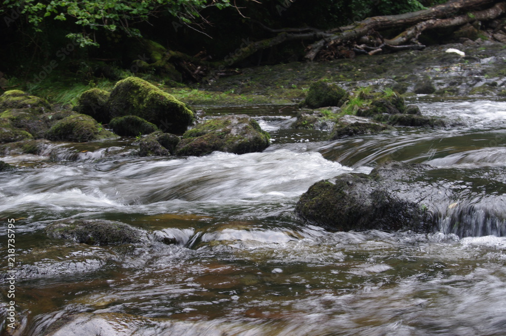 brecon forest waterfall woodland brecon forest waterfall woodland