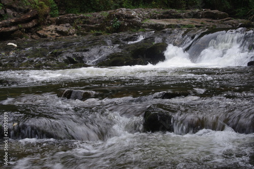 brecon forest waterfall woodland