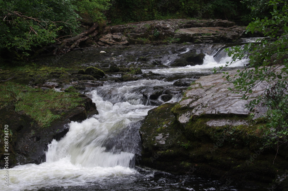 Naklejka premium brecon forest waterfall woodland