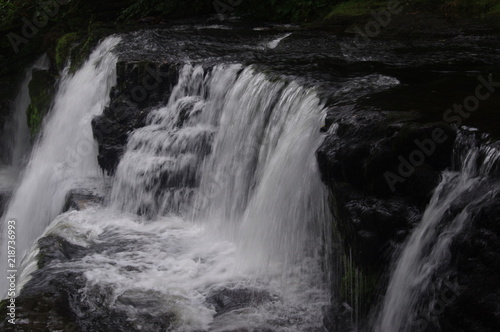 brecon forest waterfall woodland