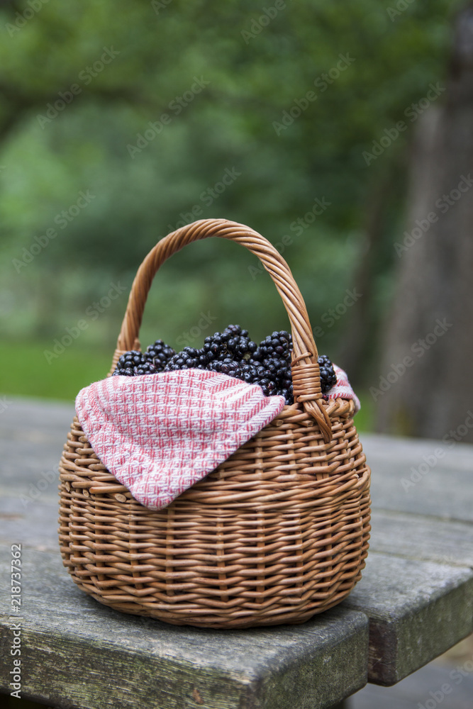 Blackberries in basket Blackberries in basket