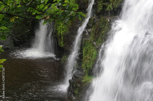 brecon forest waterfall woodland