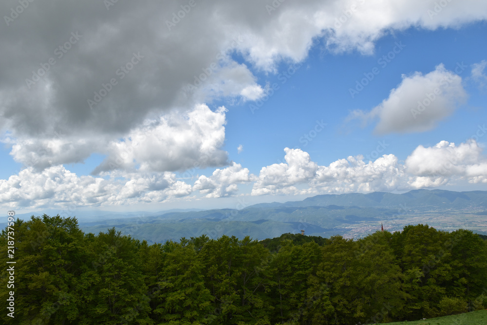 Vista di panorama con alberi e cielo blu con nuvole grigie