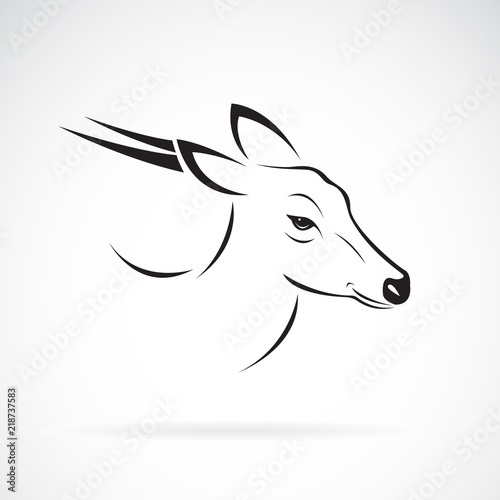 Vector of Barking deer or Muntjac (Muntiacini) on white background. Wild Animals. Easy editable layered vector illustration. © yod67
