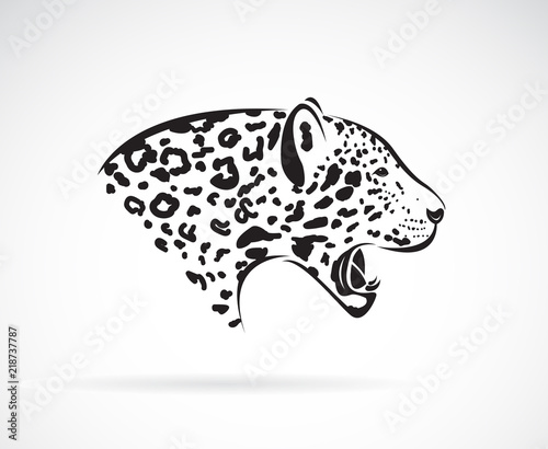 Fototapeta Naklejka Na Ścianę i Meble -  Vector of a leopard on white background. Wild Animals. Easy editable layered vector illustration.