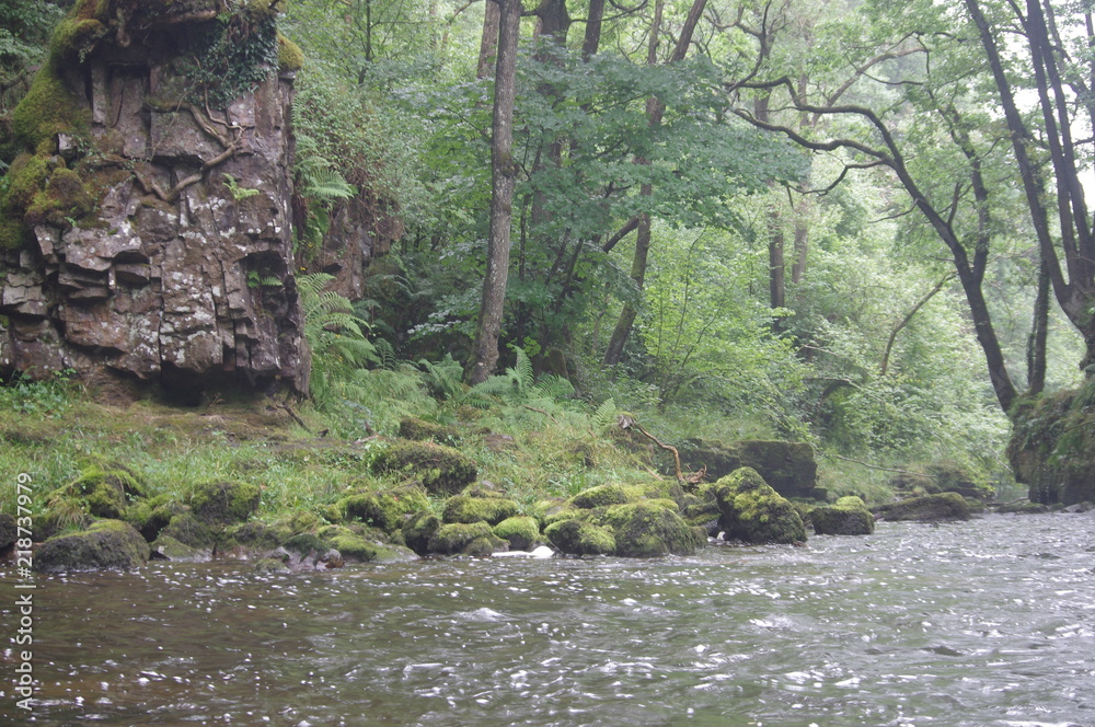 Fototapeta premium brecon beacons forest waterfalls