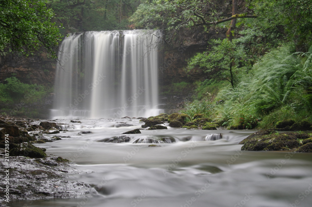 Obraz premium brecon beacons forest waterfalls