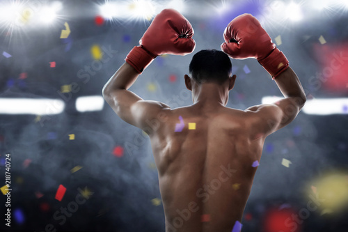 Boxer winning the match photo