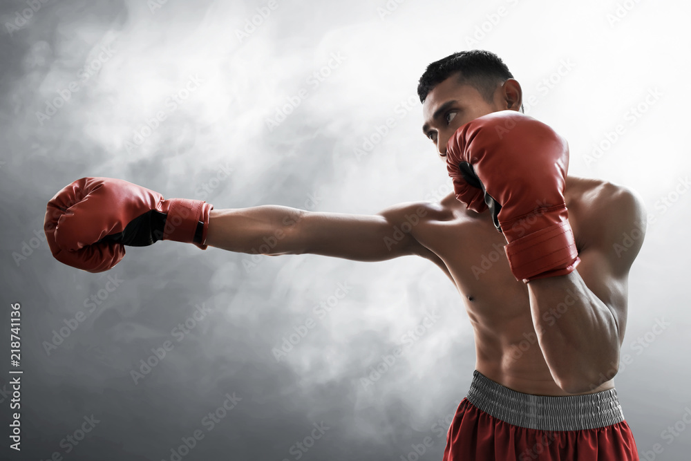 Strong muscular boxer