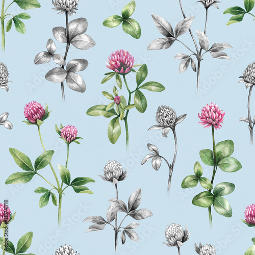 Illustrations of clover flowers. Seamless pattern