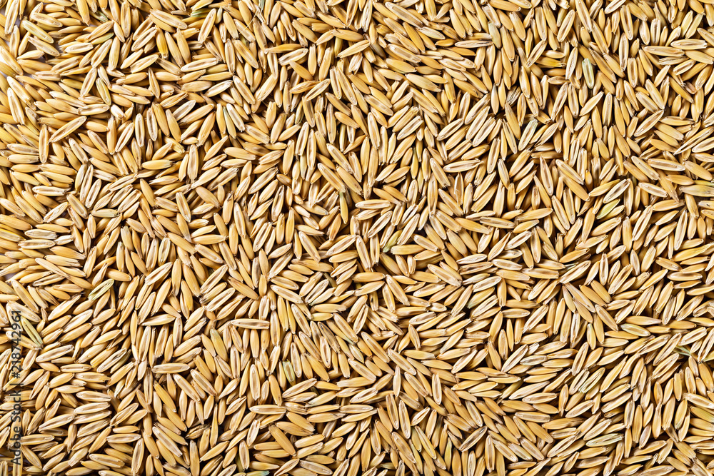 Macro image of unpeeled oat seeds background. Top view healthy food pattern. Macro image of unpeeled oat seeds background. Top view healthy food pattern.