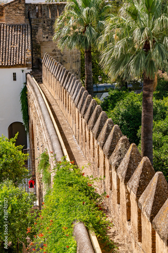 Carthusian Monastery walls in Granada Spain